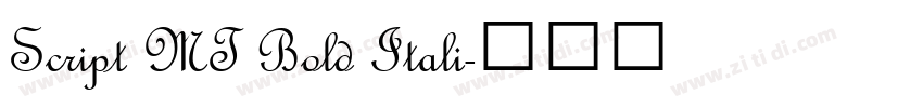 Script MT Bold Itali字体转换